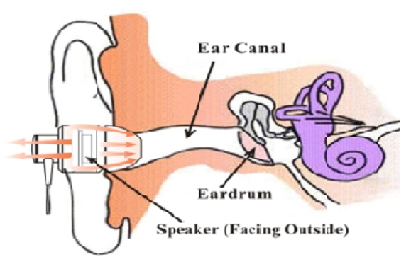 Ear Canal Diagram