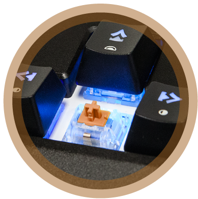 Genuine Cherry MX Keyswitches