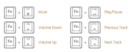 Multimedia Controls