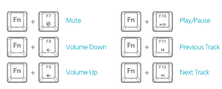 Multimedia Controls