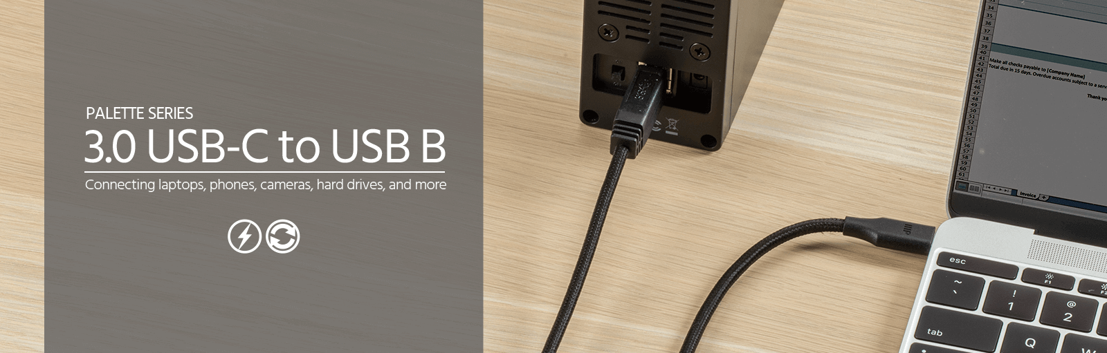 Palette Series USB 2.0 C to Micro B