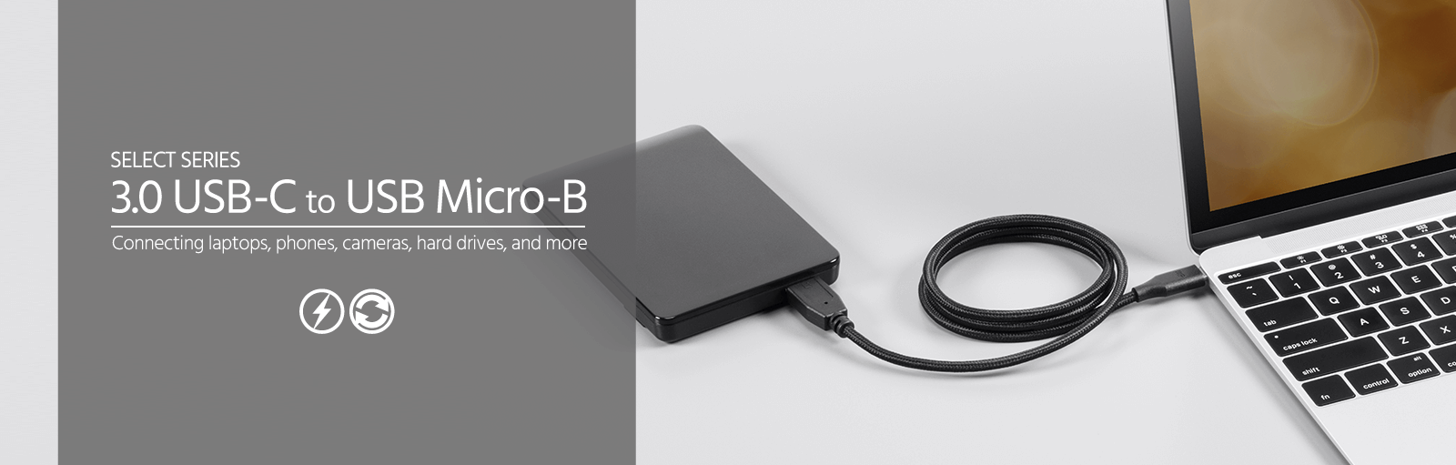 Palette Series USB 2.0 C to Micro B