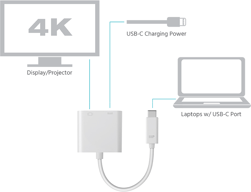 HDMI & USB-C Dual Port Adapter