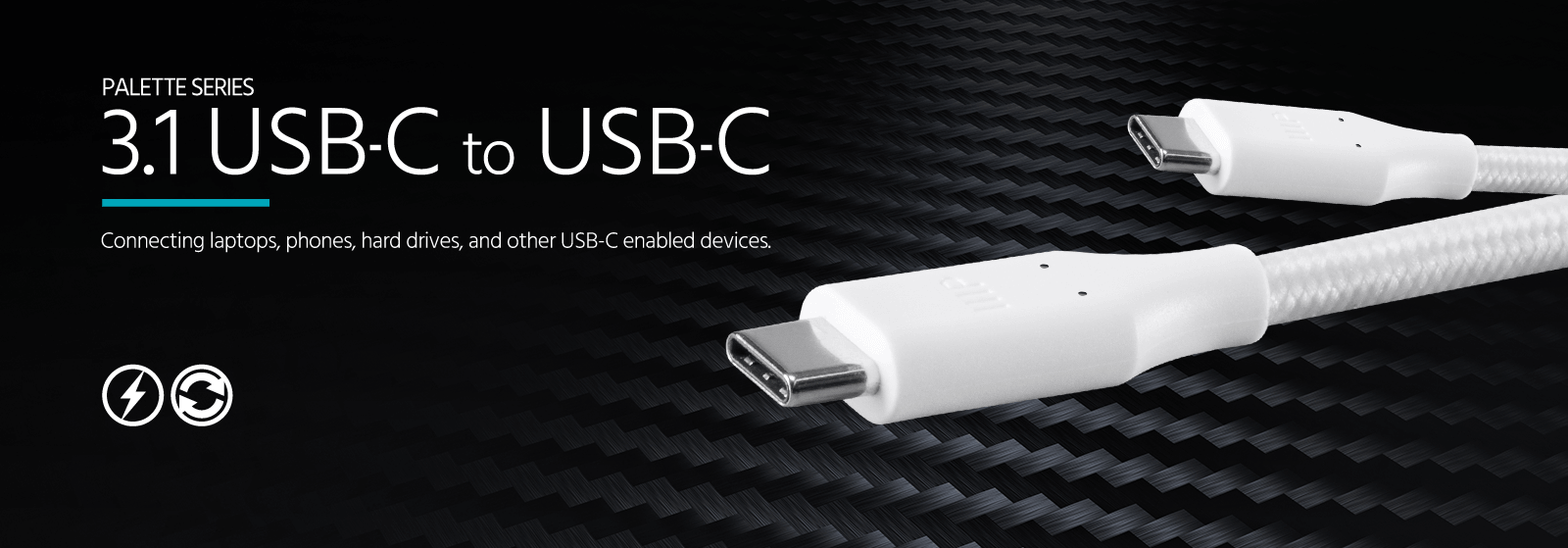 3.1 USB-C to USB-C with Power Delivery