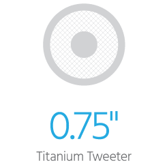 Black Back 6.5-inch Two-way In-Ceiling Speaker