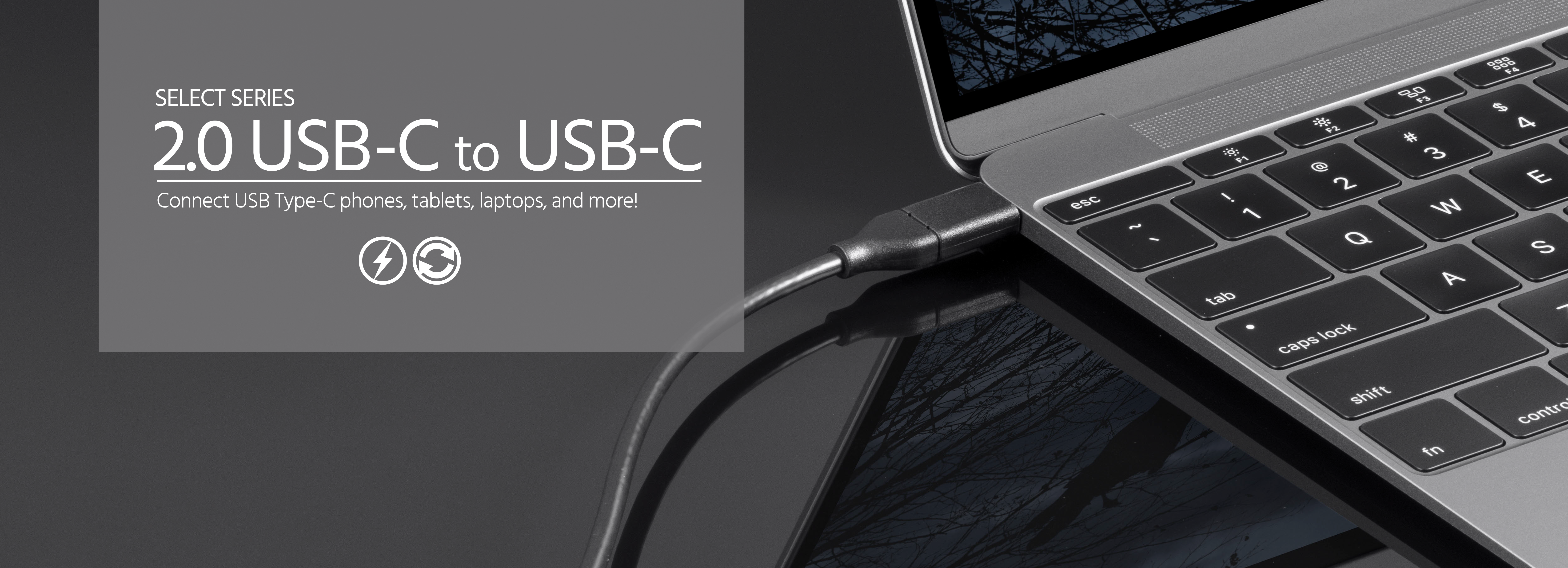 USB-C Cable