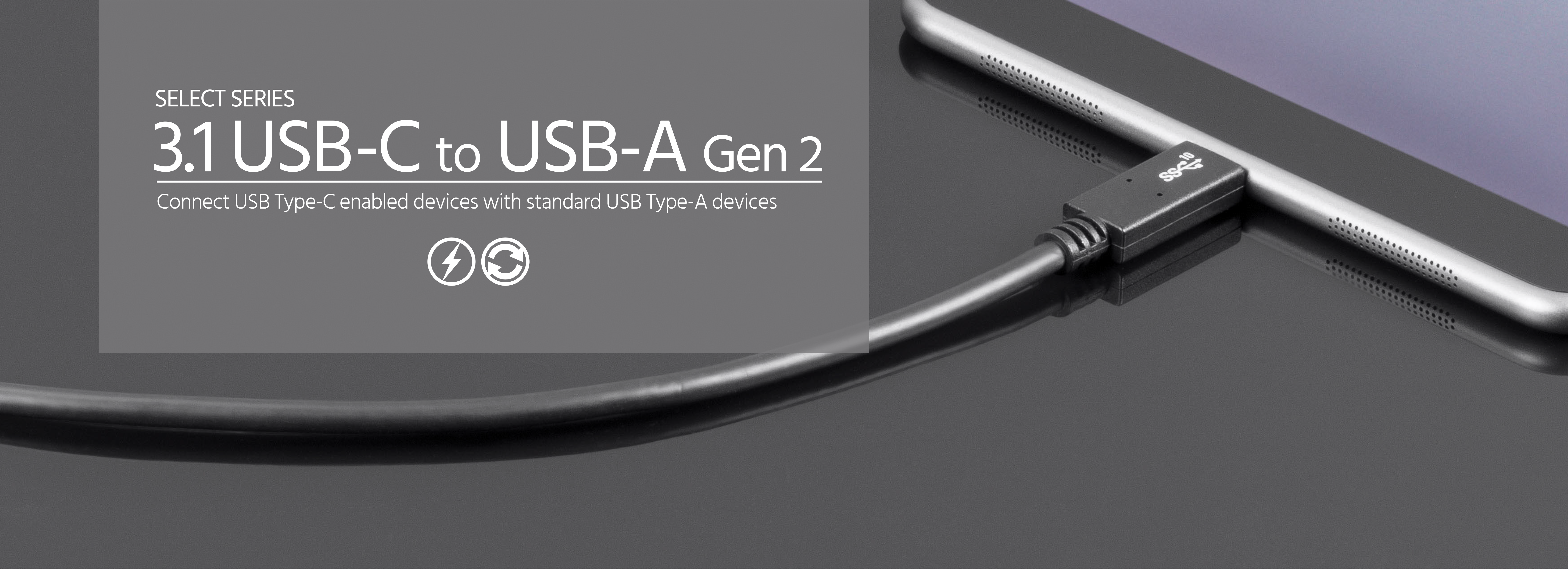 3.1 USB-A to USB-C Cable - 3.3ft/1m, 10Gpbs