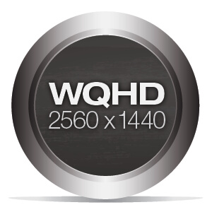 WQHD Resolution