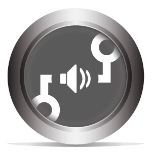 2-Channel Analog Audio