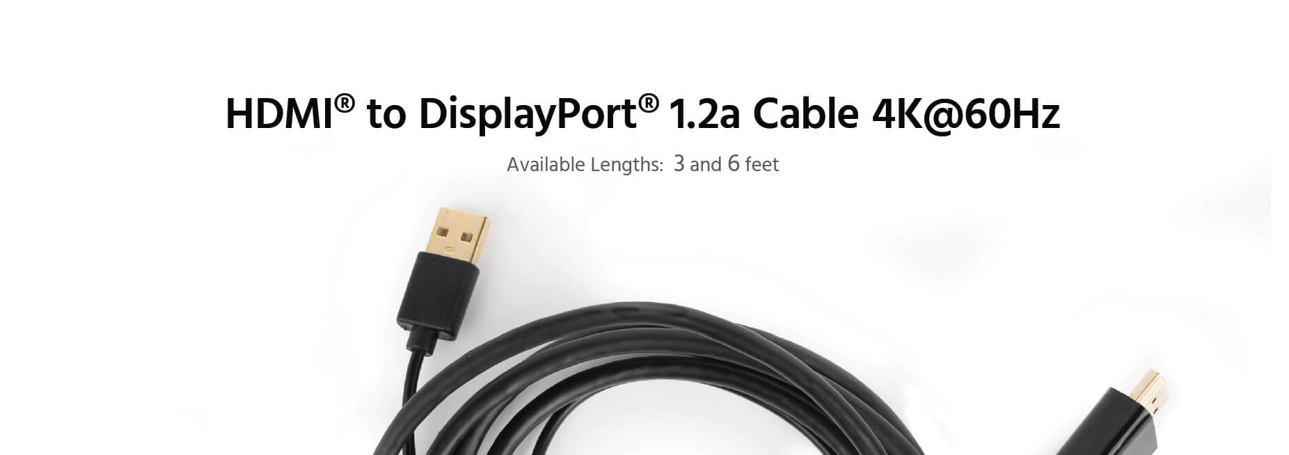 HDMI to DisplayPort Cable