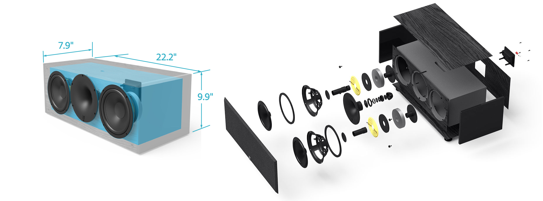 ANATOMY OF THE CENTER SPEAKER