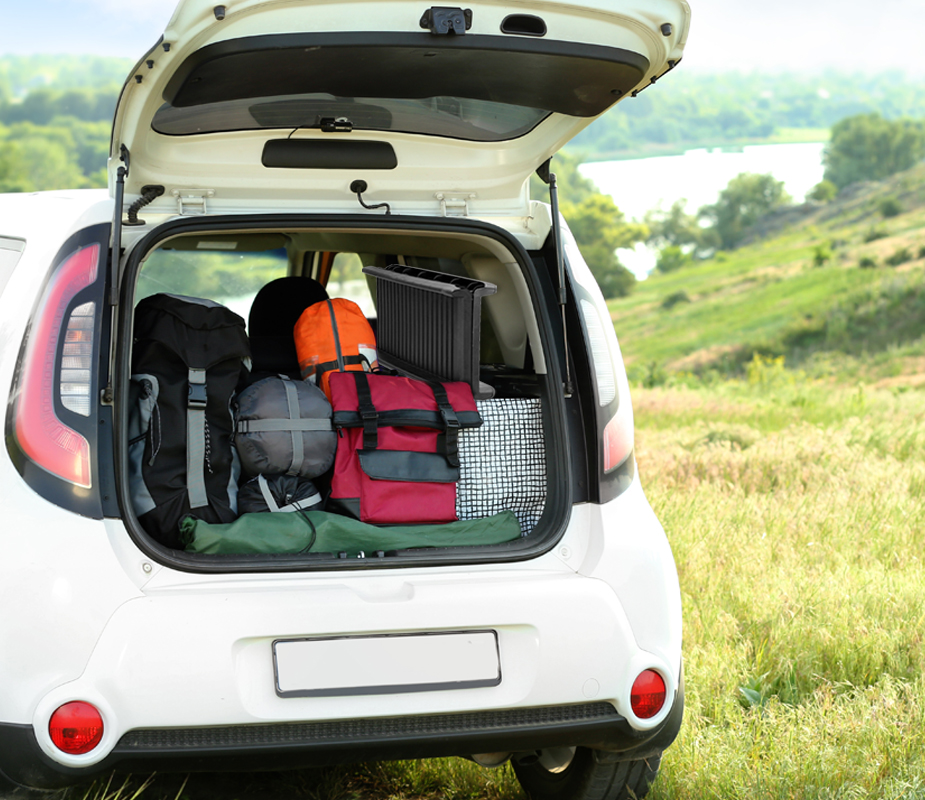 Dog Stairs For Car Coziwow Folding Dog Ramp Portable Pet Ramp For