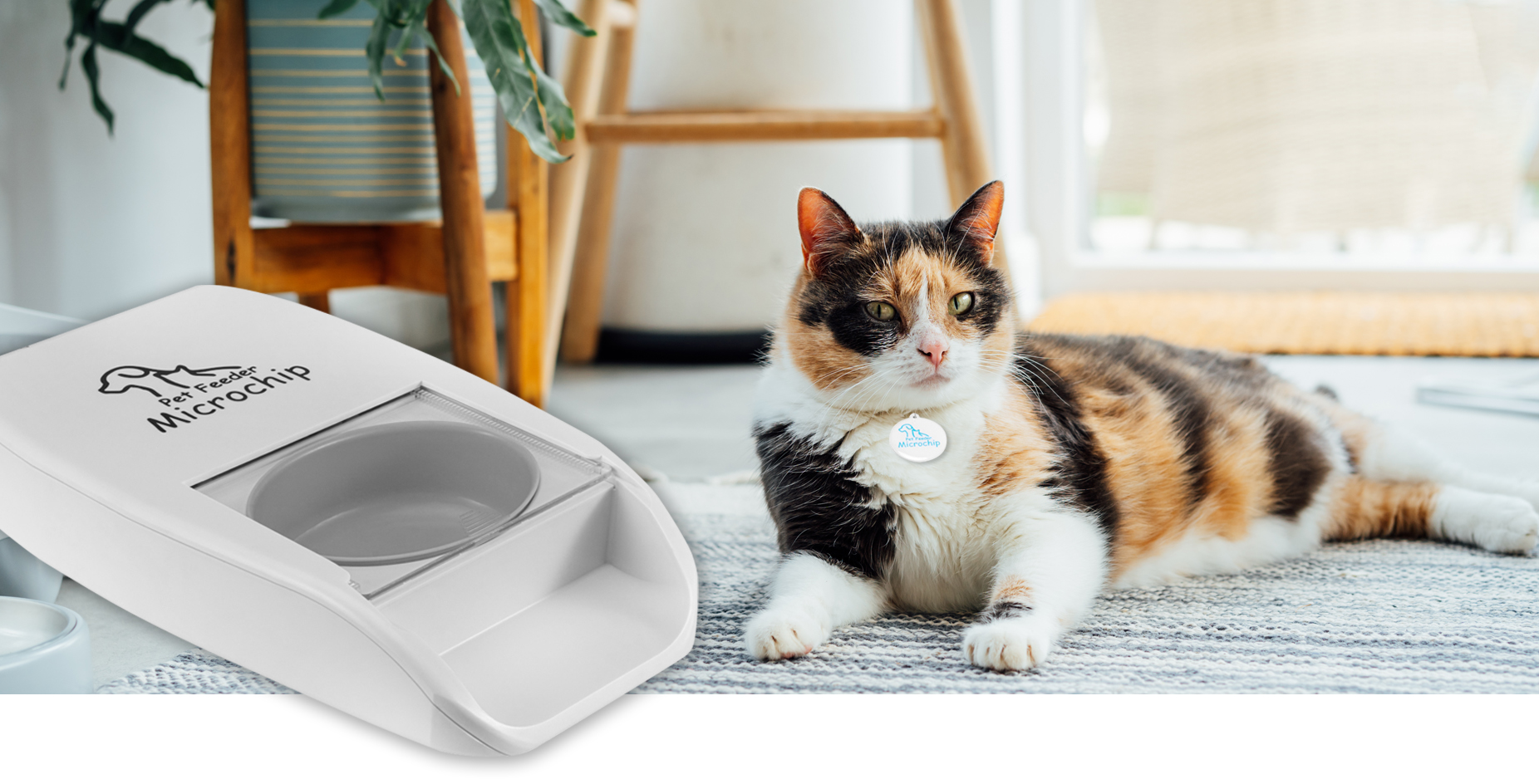 Pet feeder outlet with chip