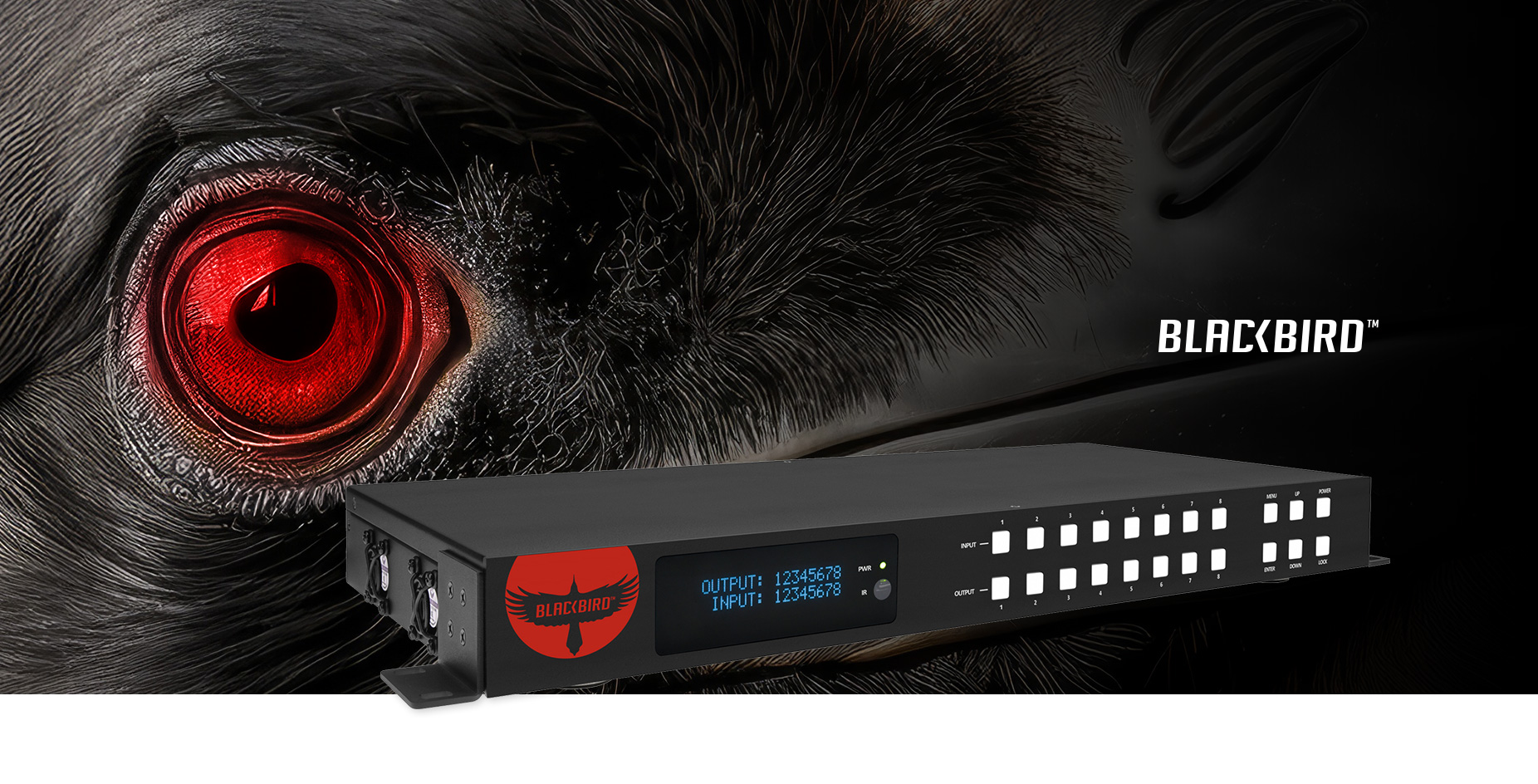 Monoprice Blackbird Pro-Series 4K60 8x8 Video Matrix, YUV 4:4:4