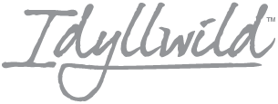 Idyllwild Foothill Acoustic Guitar