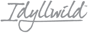 Idyllwild Foothill Acoustic-Electric Guitar