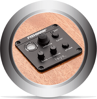 Fishman Isys+ Pick Up
