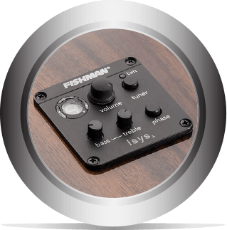 Fishman Isys+ Pick Up